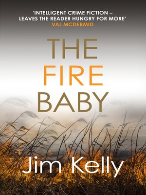 cover image of The Fire Baby